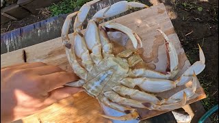 Opening day for Dungeness crab in Bodega Bay, California, on November 2, 2024. catch and cook.