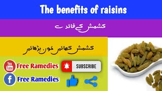 kishmish ke fayde|benefits of raisins| Free Ramedies