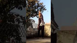 "Gulabi Ankhe jo teri Dekhi"  Amazing Dance video of Men on the song  | Happy rose to all the lovers