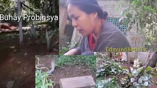 My Wife cleaning her Backyard Garden,#9 Buhay Probinsya....