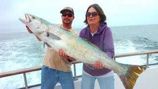 Pacific Dawn Sportfishing - Limits of White Seabass and Rockfish -06.12.2013 w/music