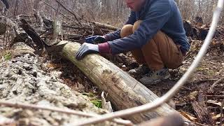 Cutting Through Hardwood W/ HAND-SAW!