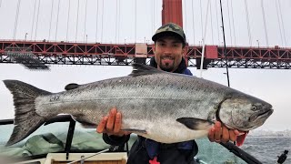 HOG Hunting for Huge King Salmon in California