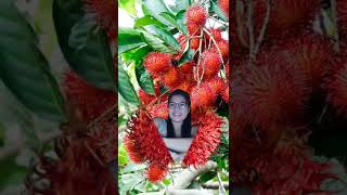 Rambutan fruit #shorts #trending #viral