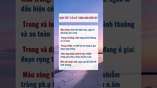 Dịch tiết cô bé cảnh báo điều gì? #bacsinguyenmay #sanphukhoa #viemphukhoa #noitietto #shorts