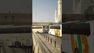 Masjid Quba#shortsfeed #shortvideo #masjidquba