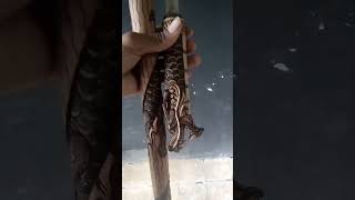 ukiran kayu tongkat koma ndo ukir naga