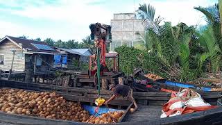 GUNTUNG PENGHASIL KELAPA TERBESAR DI DUNIA |  Aktivitas bongkar muat kelapa di Penjuru | KelapakuTV