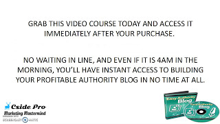 authority blog income profits