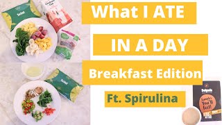 What I Ate in a Day: Breakfast Edition Ft. Spirulina (Techui)