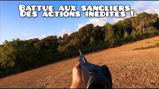 ☆chasse aux sangliers - des actions inédites ! 2021/2022☆