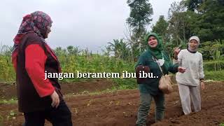 BOTRAM DI SAWAH ALIAS MAKAN BERSAMA