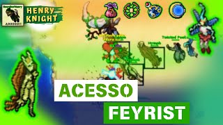 Tibia Quests #43 Tutorial Passo a Passo de Acesso à FEYRIST | Threatened Dreams COMPLETA