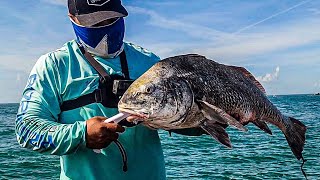 First time EVER! catching a Black Drum!!