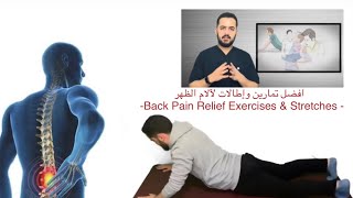 افضل تمارين وإطالات لآلام اسفل الظهر  علاج بدون جراحة |best Back Pain Relief Exercises & Stretches