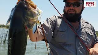 Giant Bass on Strike King Spinnerbait 4K