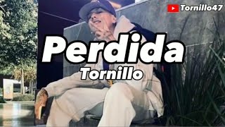 TORNILLO47 PERDIDA EN LETRA