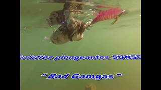 Tuto SUNSET - Montage Seiche SUNSET Bad Gambas