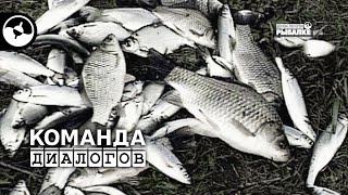 Весенняя рыбалка. Вторая неделя мая | Календарь рыболова