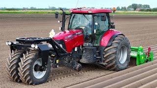 Ridging of Chicory Beds | Case IH Maxxum 125 w/ Hegro Nose Wheel / Trike | Gebr Vos