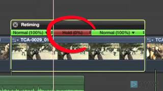 How To Create a Freezeframe in Final Cut Pro X Advanced