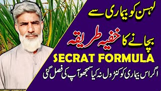 Secrat Formula🔥:Lehsan Ky Pton Ki Nokyn Jalny ki Waja(doni mildow)✅ | Garlic Disease Control