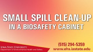 Cleaning Up a Spill (Biosafety Cabinet)