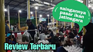 Pasar Ikan Hias Rawalumbu Bekasi | Review harga ikan predator