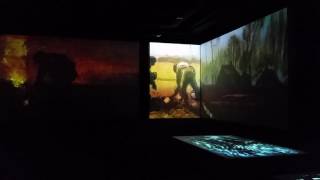 Van Gogh Multimedia Exhibition in Vilnius