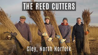 The Reed Cutters - harvesting Norfolk reeds for thatch over five generations