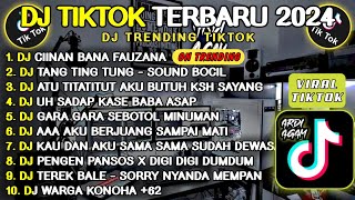 DJ TIKTOK TERBARU 2024 || DJ CIINAN BANA || DJ TANG TING TUNG || DJ GARA GARA SEBOTOL MINUMAN