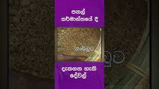 පතල් කර්මාන්තයේ දී දැකගත හැකි දේවල්