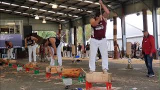 Two Woodchop events at Royal Melbourne Show, Australia, 2019