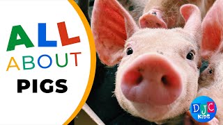 Piggy Party: 5 Fun Facts About Pigs! 🐷🎉