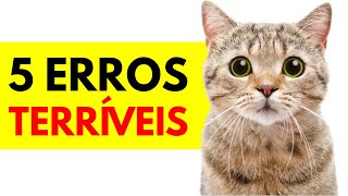 5 Erros Terríveis Que Donos de Gatos Cometem - Como Cuidar de um Gato