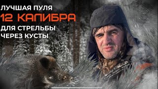 Лучшая пуля 12 калибра для стрельбы через кусты