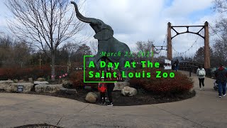 A Day At The Saint Louis Zoo