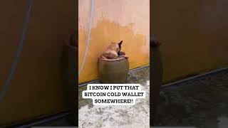 I KNOW I PUT THAT BITCOIN COLD WALLET SOMEWHERE!!