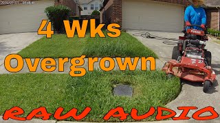 Overgrown yard - Ferris & Kubota Stand on mower