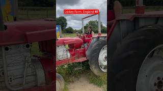 Lockey Farm || Outdoor fun 🤩 #farm #england #lockeyfarm #uk