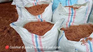 PROCESS COCOFIBER & COCOFEAT DARI NOL|#edisikhusus #export  #cocofiber