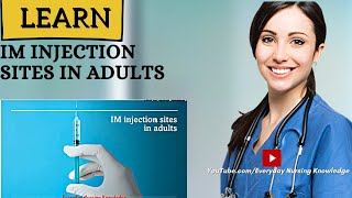 Learn Intramuscular Injection Sites In Adults I Everyday Nursing