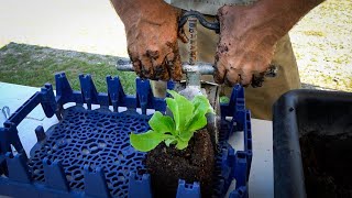 4-Inch Soil Block Tutorial and Pro-Tips W/ Jim Kovaleski