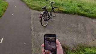 insta360 test timeshift - 7am bike ride - temporary video