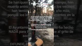 El Ayuntamiento de Bonares deja a los vecinos desatendidos ante estos horribles incendios.