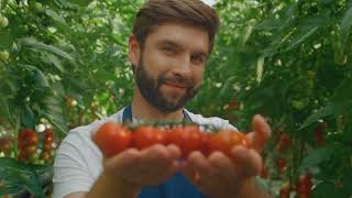 Tomato Abundance: Growing, Preserving, and Cooking Year-Round, a few new ways to preserve tomatoes