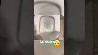 C'est trop #satisfying😌 | #humor #thénoir #comedy #ytshorts #humour #meme #drole #caca #toilet