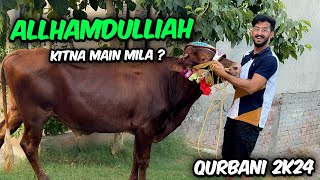 Qurbani Ka Janwar lay Lia 🐄| Kitne Main Mila ?