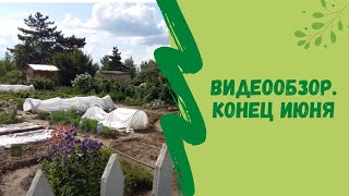 Видеообзор. Конец июня