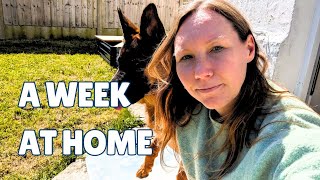 Monday - Friday | What does a stay at home self employed mum do?